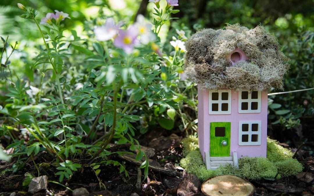 Kids’ Fairy Garden: How To Create it, Plus New Book, “Dorks On a Mission: The Wild Gardens”