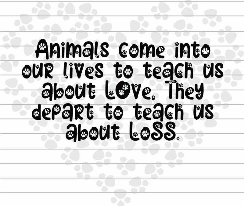 30+ Creative Ideas for Projects & Activities to Help Children and Families Grieve Loss of an Animal