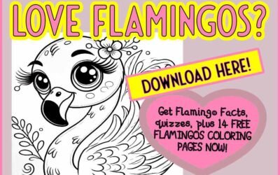 Amazing Flamingos! Download FREE Coloring Pages For Kids Plus Fun Facts and Quizzes About Flamingos