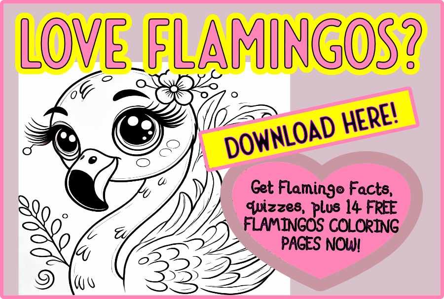 Amazing Flamingos! Download FREE Coloring Pages For Kids Plus Fun Facts and Quizzes About Flamingos