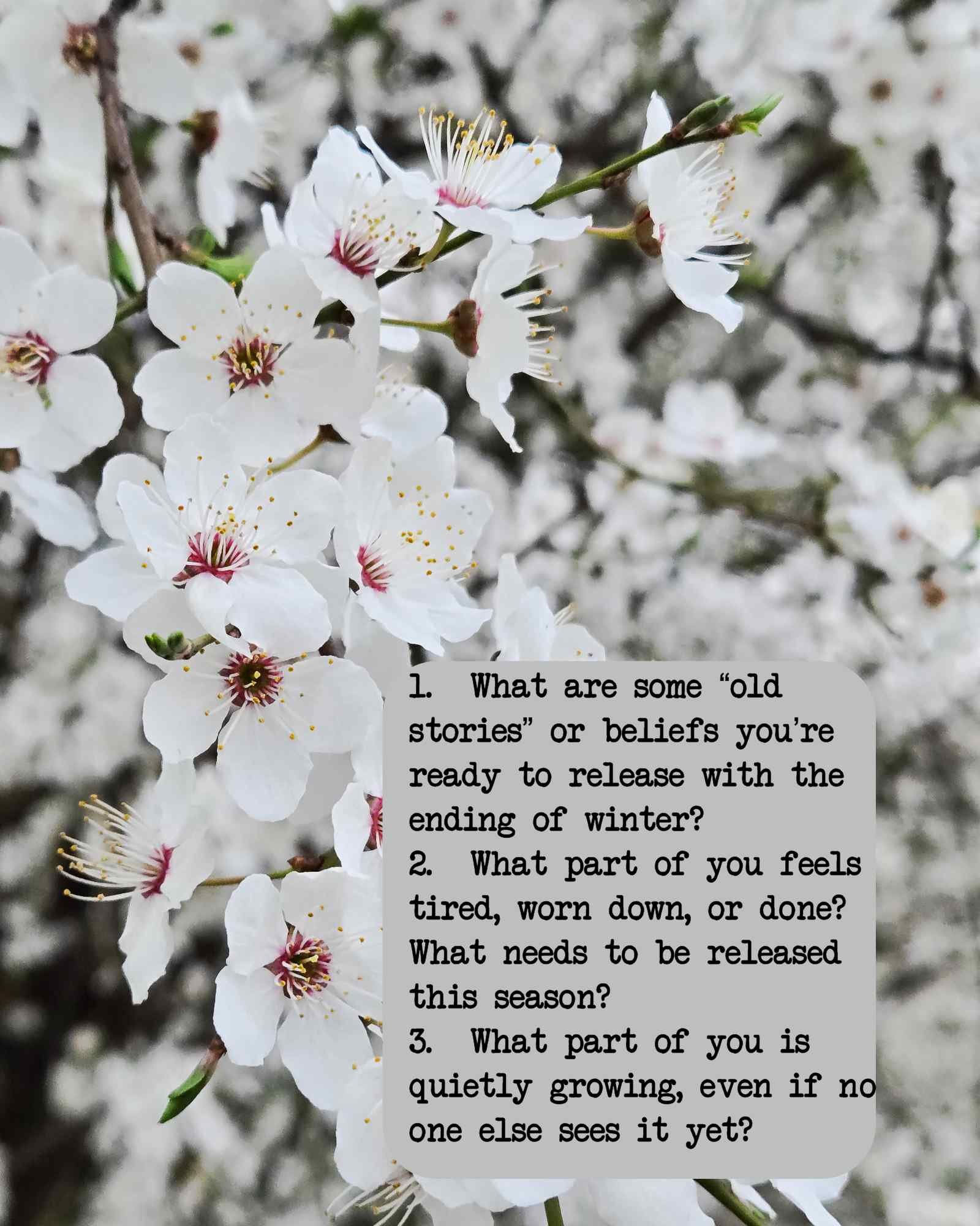 A Different Kind of Easter Tradition: 30+ Spring-Inspired Prompts for Self-Reflection